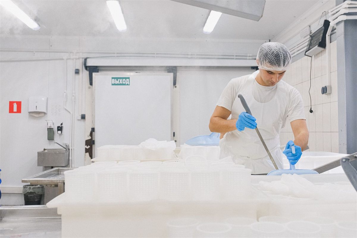 Food plant worker in a hairnet, white apron and blue gloves handling product at a processing table